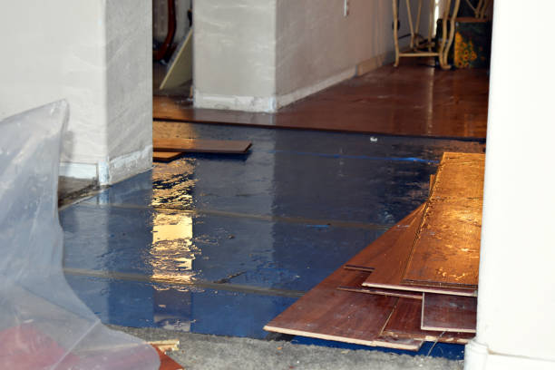 Professional Water Damage Restoration technician working in Addison, IL